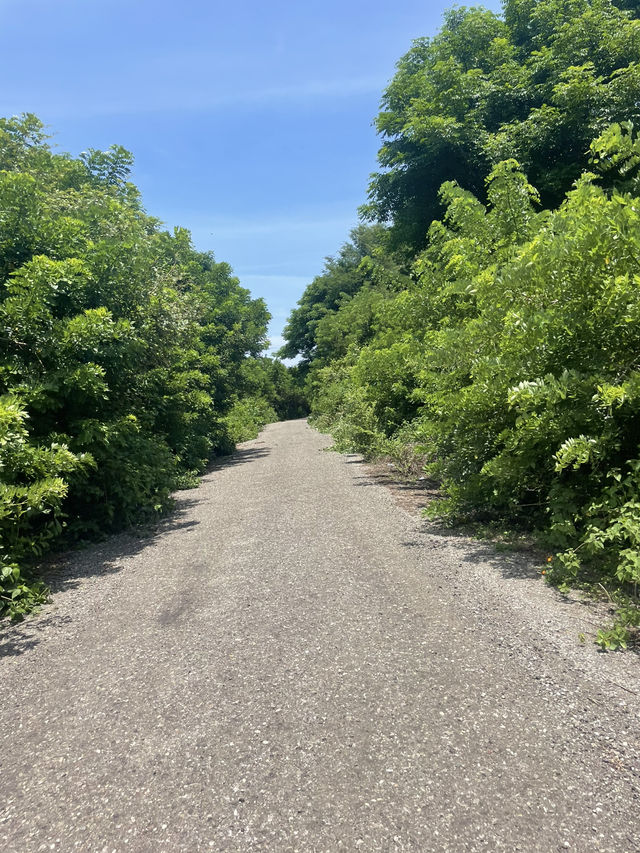 Driving into Reo: A Surprise Worth the Journey 🚗🌿