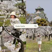 แจกแพลนดูซากุระที่โอซาก้า เกียวโต 🌸🍡🇯🇵