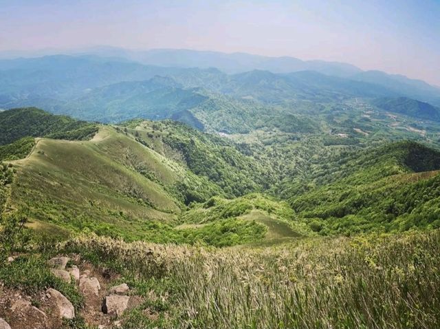 蒜山の魅力