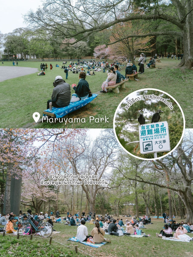 8 ที่เที่ยวเมืองSapporo