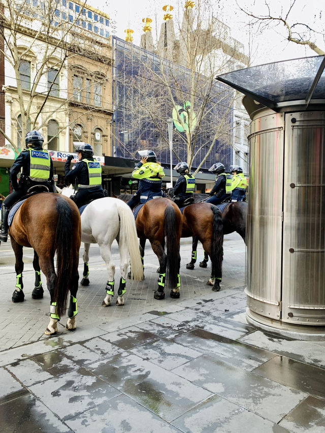 Moments in Melbourne 