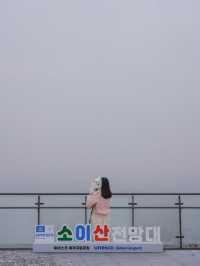 분단의 아픔과 역사, 철원의 아름다운 자연 그리고 우리집 강아지가 함께한🤎
