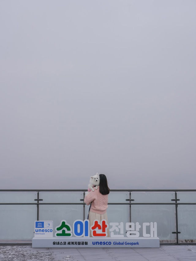 분단의 아픔과 역사, 철원의 아름다운 자연 그리고 우리집 강아지가 함께한🤎