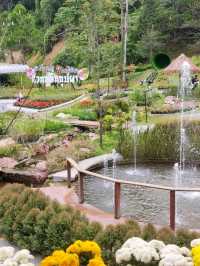 Picturesque Flower Garden