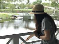 5 Days in Paradise 💗: The Ultimate Port Douglas Adventure