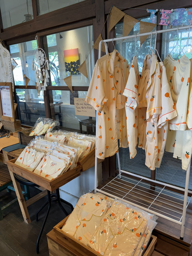 제주도 봄여행 추천 [명월국민학교]🌼