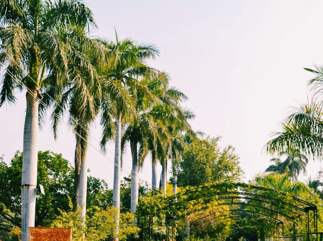 都会のオアシス🌿緑あふれる癒しの庭⛲️