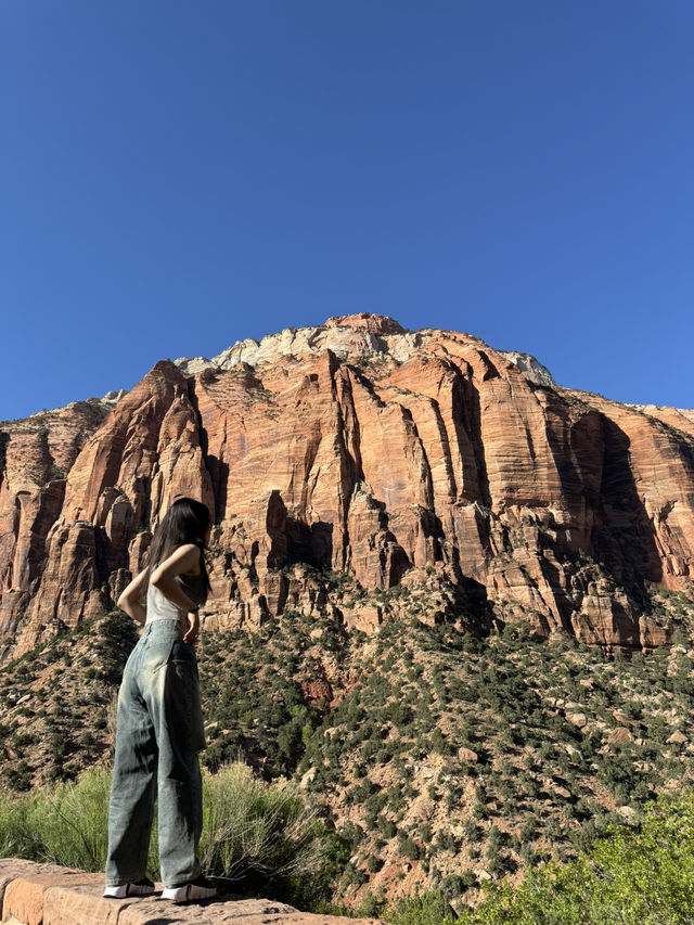 깊고 울창한 자연의 품 안에 숨겨진 보석 같은 장소 “Zion canyon”