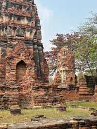 Time Stands Still: The Timeless Beauty of Wat Mahathat