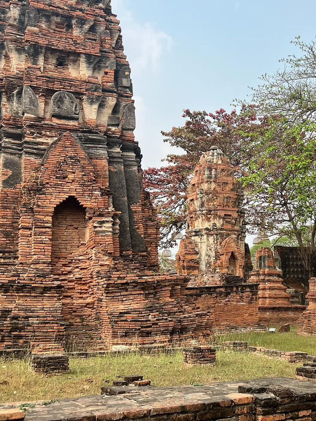 Time Stands Still: The Timeless Beauty of Wat Mahathat