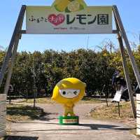 Togokusan Fruit Park (東谷山フルーツパーク)