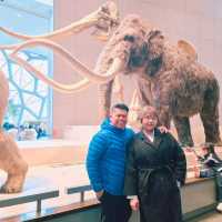 Shanghai Natural History Museum