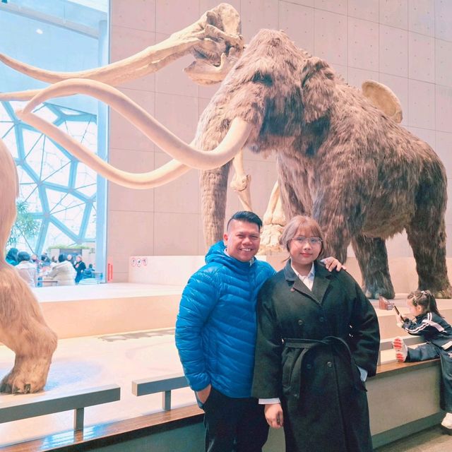 Shanghai Natural History Museum