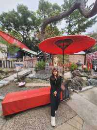 如果你愛拍照📸📷，這個別小江神社你必去！！