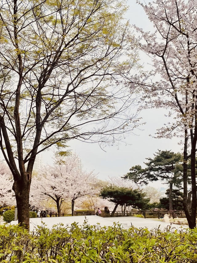 A Great Spot for a Relaxing Spring Picnic!