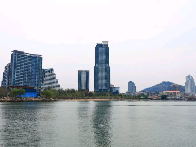 สะพานม่วงลอยน้ำ แลนด์มาร์คใหม่จังหวัดชลบุรี