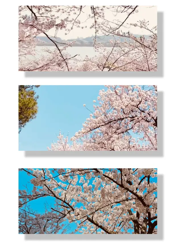 A Must-Visit for a Relaxing Spring Getaway!