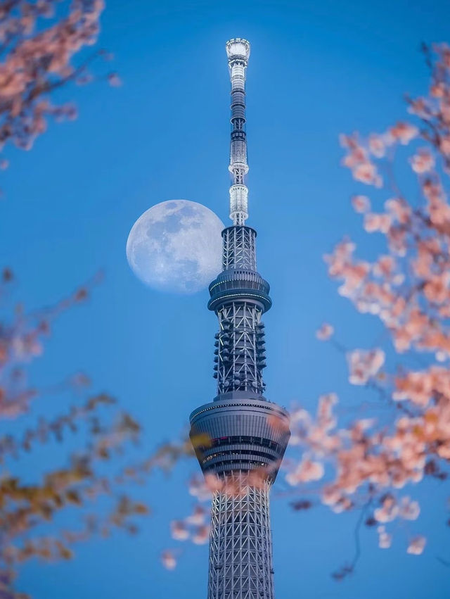 東京 第一高塔晴空塔🔥