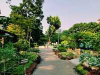 泰國曼谷市中心城市綠洲湖泊公園免稅店一日遊行程，適合休閒逛街打卡拍照📸