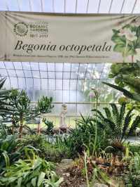 Glasgow Botanic Gardens: A Green Oasis in the City