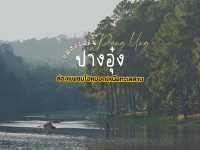 “ปางอุ๋ง” ไอหมอกในยามเช้าท่ามกลางป่าสน