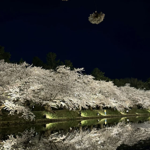 亮齋川~夜櫻之美