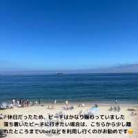 【チリ】サンティアゴからバスで約2時間！ーViña del Marー