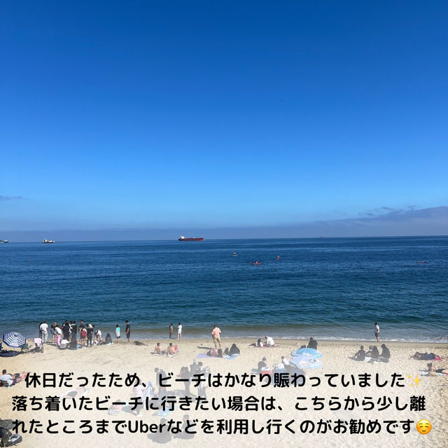 【チリ】サンティアゴからバスで約2時間！ーViña del Marー