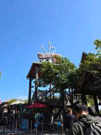 香港海洋公園。好玩，好正呀！