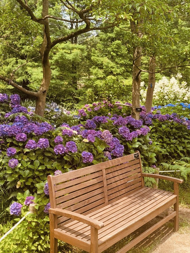 Spring's Coastal Garden Escape 🌊🌷 