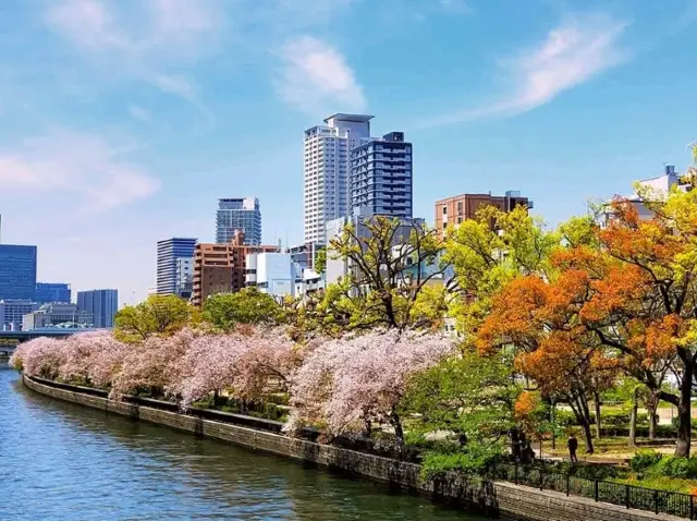 一年只開放七天的限定賞櫻名所：大阪造幣局櫻花步道