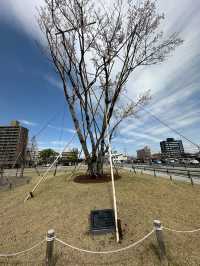 岐阜市🇯🇵 ぎふ結のもり