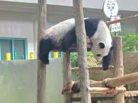 Must-visit places in Zoo Negara Malaysia