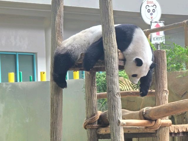 Must-visit places in Zoo Negara Malaysia