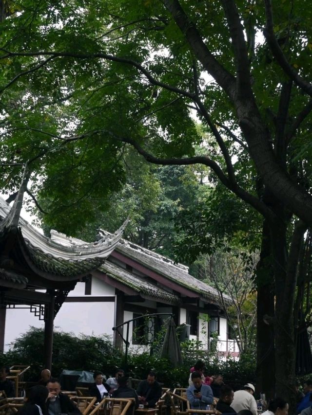 Tea-house In Chengdu