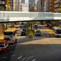 Kobe: A City of Scenic Views and Culinary Excellence