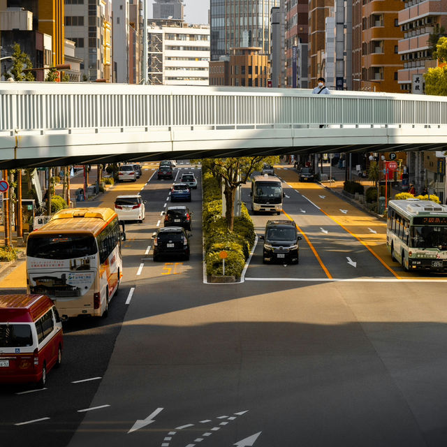 Kobe: A City of Scenic Views and Culinary Excellence
