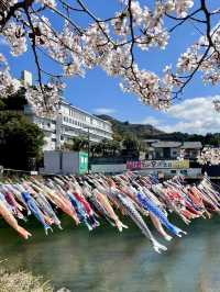 【佐賀観光】川上峡春まつり