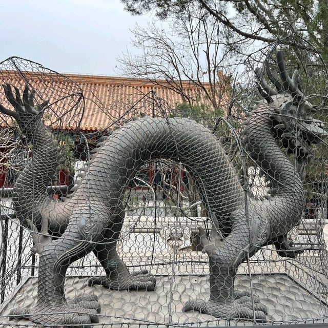 Where Nature Meets Majesty: My Journey to the Summer Palace