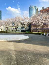 【🎨国立新美術館でアートの世界を楽しもう🖼】