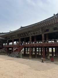 🏯 밀양의 대표 명소, 영남루에 방문하다! 🏯