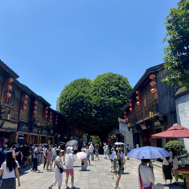 🍵 福州で楽しむお茶巡りの旅 🇨🇳