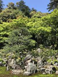 【青岸寺の苔の庭で深呼吸をしませんか。滋賀県　米原市 】