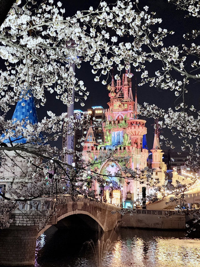 벚꽃 풍경과 야간 라이트업을 보며 🌸산책데이트하기에 좋은 벚꽃여행지🌸