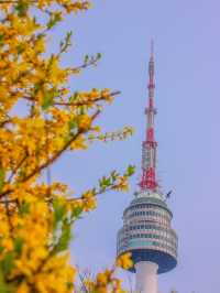 NAMSAN TOWER |  N. SEOUL TOWER  |  남산서울타워
