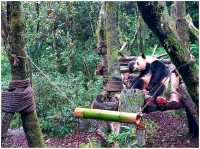 ดูแพนด้าแบบใกล้ชิด @ Panda Valley Dujiangyan