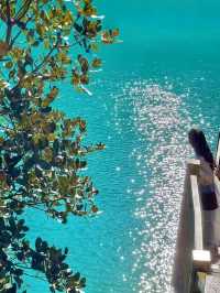 Captivating Beauty: Exploring the Wonders of Blue Moon Valley