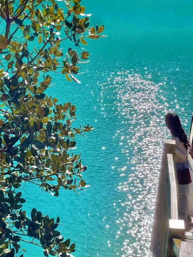 Captivating Beauty: Exploring the Wonders of Blue Moon Valley
