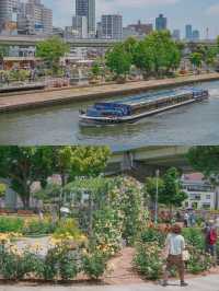 สวนกุหลาบกลางเมือง เข้าฟรี! ที่โอซาก้า🌹