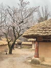 Immerse yourself to a Traditional Korean Culture of Late Joseon Era